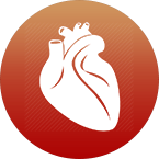 Sistema-circulatorio