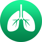 Sistema-respiratorio